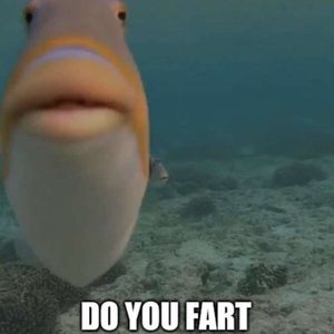 Meet your Posher, Aidan